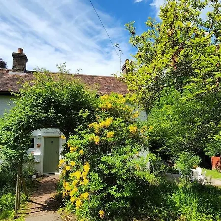 Ashdown Forest Character Cottage, 18Th Century Crowborough Exterior photo